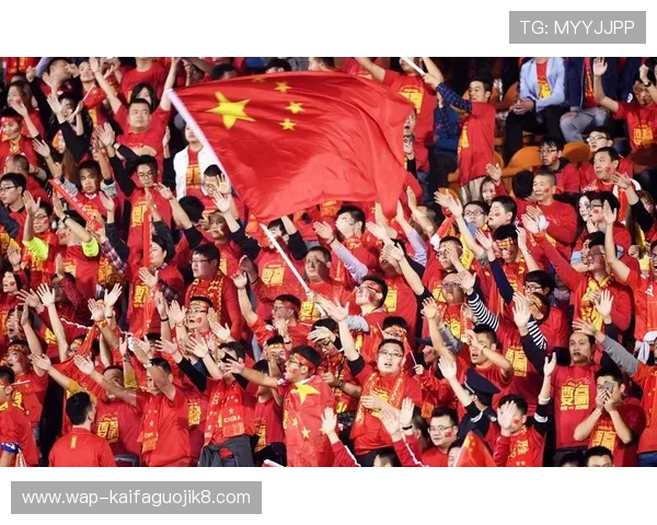 2026年世界杯中国举办对国内体育产业及相关经济的带动作用